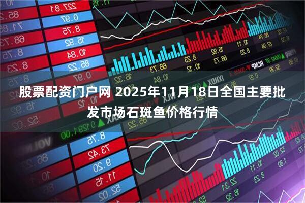 股票配资门户网 2025年11月18日全国主要批发市场石斑鱼价格行情