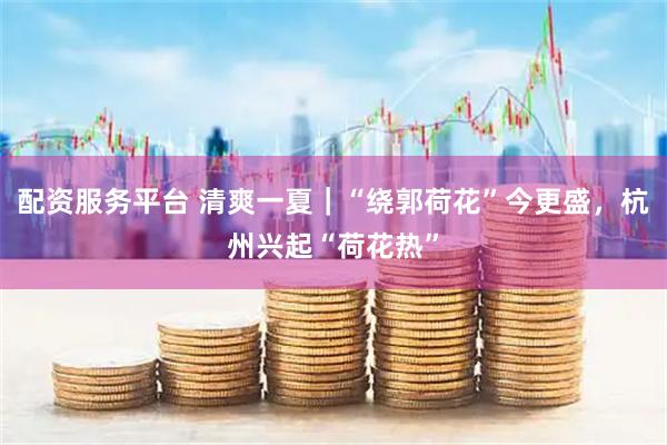 配资服务平台 清爽一夏｜“绕郭荷花”今更盛，杭州兴起“荷花热”