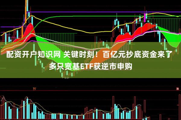 配资开户知识网 关键时刻！百亿元抄底资金来了 多只宽基ETF获逆市申购