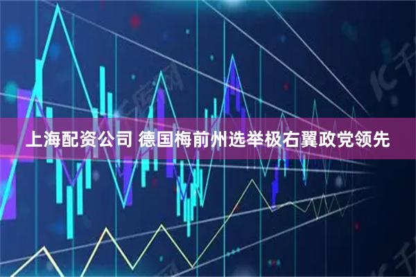 上海配资公司 德国梅前州选举极右翼政党领先